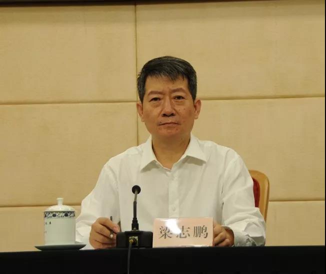 国家能源局：上半年能源消费持续回暖 可再生能源装机达6.8亿千瓦